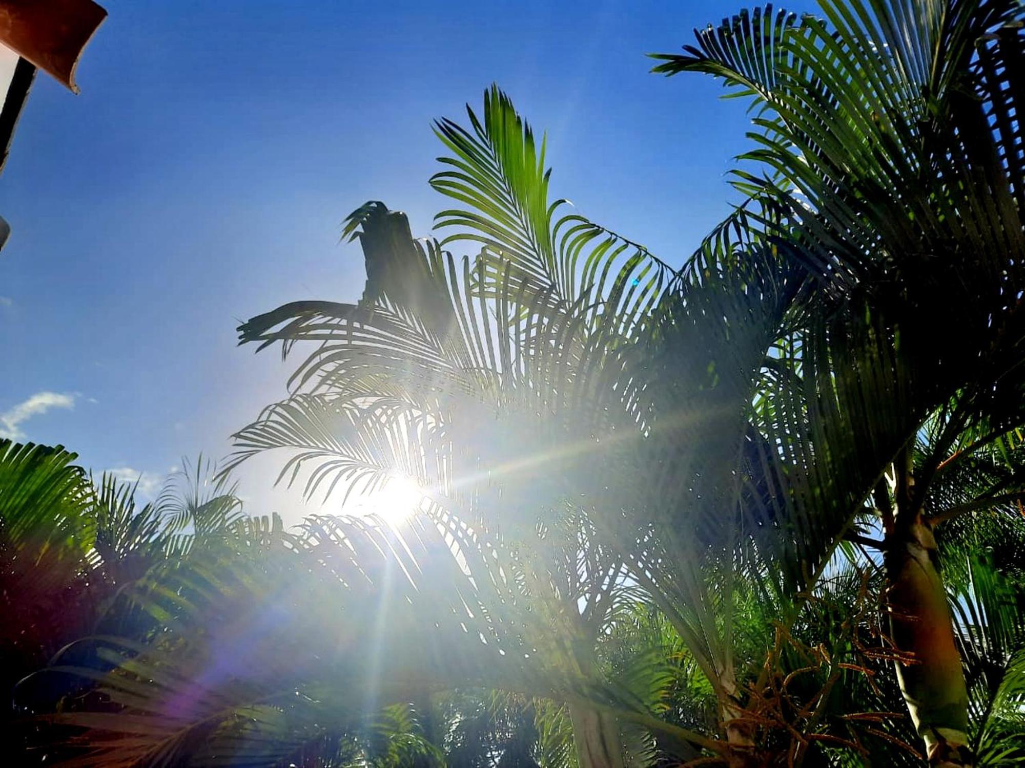 Op Signature Aparthotel & Luxury Villas Pedasi Town Buitenkant foto